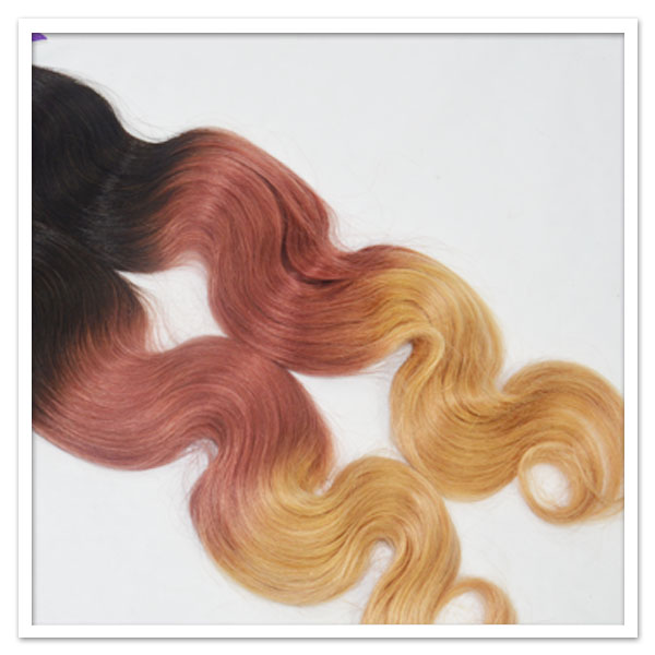 Maylisian Ombre Hair Extension lp126